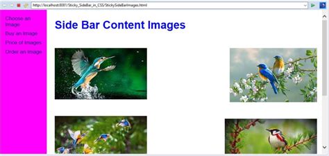 Image result for Sticky Sidebar CSS