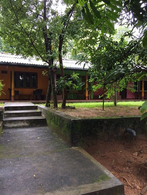 THE NEST (Mahiyangana) - Lodge Reviews, Photos, Rate Comparison ...