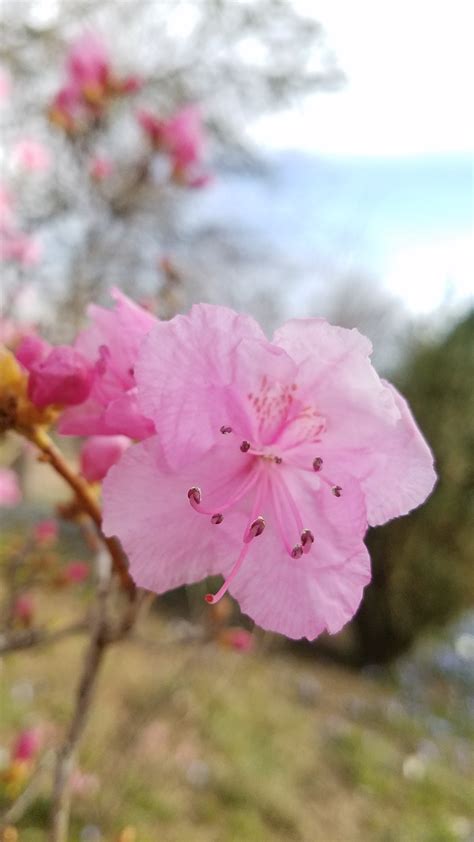 Landscape Message: April 27, 2018 : Center for Agriculture, Food, and ...