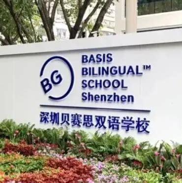 深圳科爱赛国际学校2023年报名条件、招生要求、招生对象