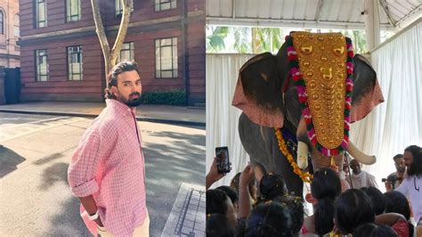 Indian cricketer KL Rahul and PETA donate a mechanical elephant to ...