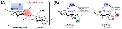 Role of Bacteria-Derived Exopolysaccharides in Inflammatory Bowel ...