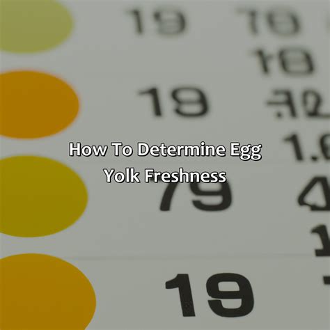 What Does The Color Of Egg Yolk Mean - colorscombo.com