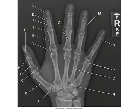 Image result for Hand Labeling