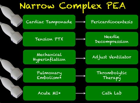Kuvatulokset haulle pea arrest