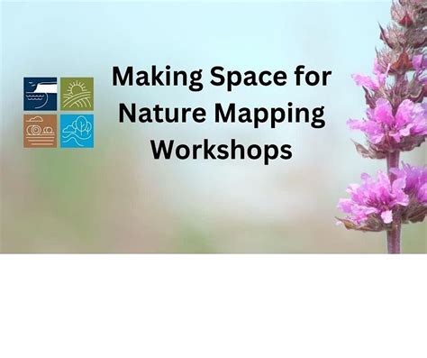 Making Space for Nature Mapping Workshop, Three Hills Sports Park ...