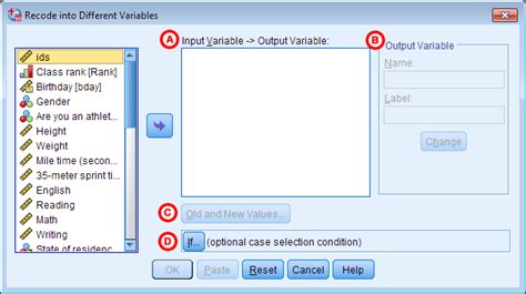 SPSS Recode Variables 的图像结果