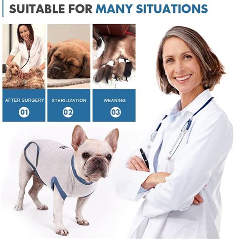 Buy Vanansa Dog Surgical Suit, Dog Surgery Recovery Suit after Surgery ...