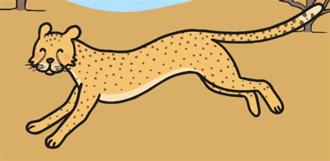 What are African animals? - Answered - Twinkl Teaching Wiki