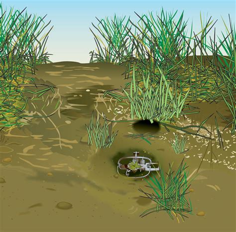 Spring Trap Running 的图像结果