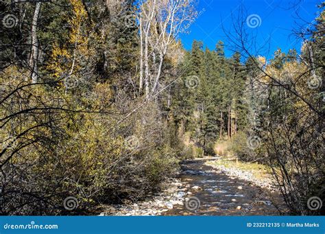 Pecos River Canyon State Park in New Mexico Stock Image - Image of ...