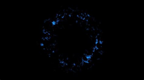 Image result for Shockwave Flash Animation SWF