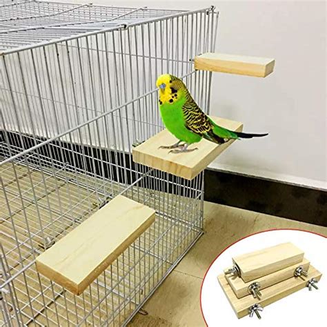 FunMart Pack of 3 Birds Stair Platform Perch, Stand Bird Toy for ...