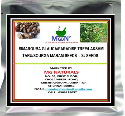 Mgbn The Path For The Healthier Life With Beauty Simarouba Glauca ...