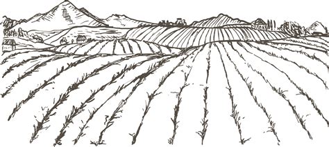 Farm Field Drawing at PaintingValley.com | Explore collection of Farm ...