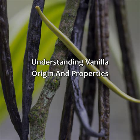 What Color Is Vanilla - colorscombo.com