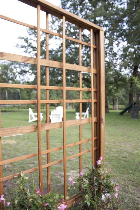 Image result for How to Build a Trellis