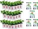Grow Basket Grow Bag - UV Stabilized, Long Life Bags for Small and ...
