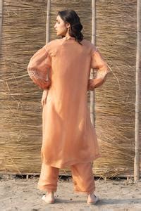 Buy Brown Viscose, Silk Organza Embroidery Mandarin Collar Sleeve Sheer ...