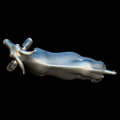 Exquisite Goat 3D Model STL & GLB File