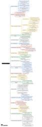 Mind Map: Gastrointestinal Tract - NEET PG PDF Download