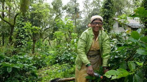 Clear vision, better lives: ‘Livelihoods in Focus’ outreach programme ...