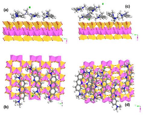 Sorption of Acridine Orange on Non-Swelling and Swelling Clay Minerals