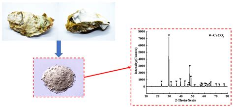 A New Magnesium Phosphate Cement Based on Renewable Oyster Shell Powder ...