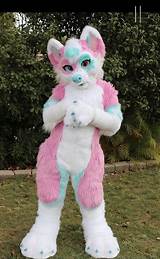FurryWu Studio Pink Rose Huksy Dog Fursuit Fullsuit India | Ubuy