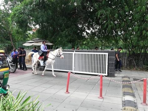 Bengaluru Techie Shows Up Riding A Horse On His Last Working Day And ...