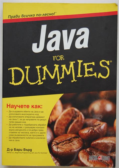 Java For Dummies 的图像结果