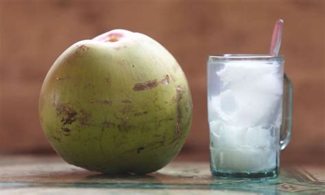 manfaat air kelapa campur madu dan jeruk nipis