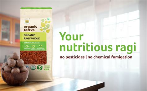 Organic Tattva, Organic Ragi Whole - 500 gram | 100% Organic, Gluten ...