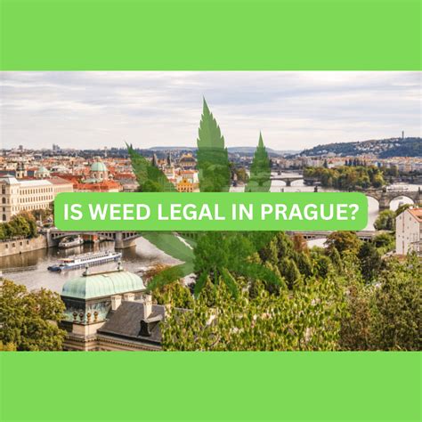 Is Weed legal in Prague? Everything you need to know in 2025