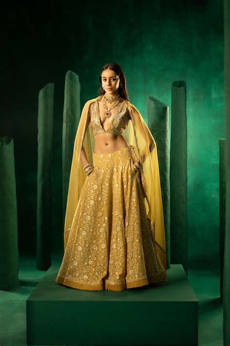 Twenty Nine - Golden Yellow Organza Dupatta - Elahe