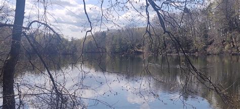 Tymor Park Loop, New York - 48 Reviews, Map | AllTrails