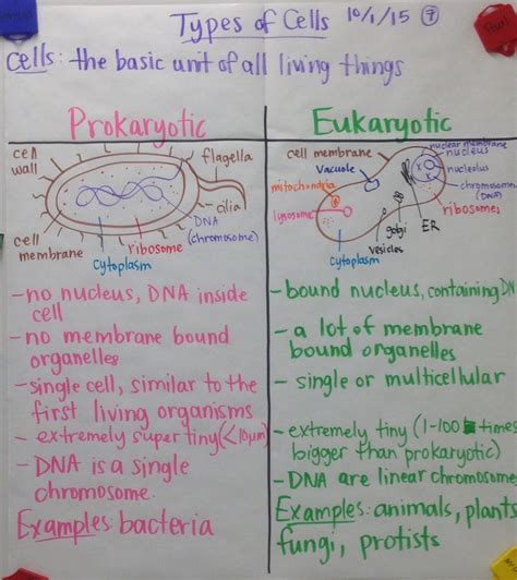 Image result for Biology Graph Examples