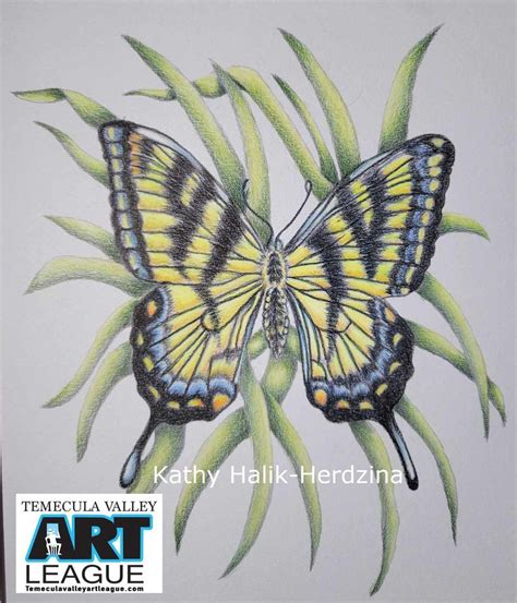 Colorpencil workshop Monarch Butterfly all materials included in cost ...