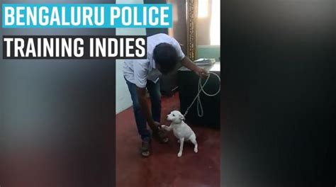 Duty pass issue to be provided across Bengaluru DCP offices - IBTimes India