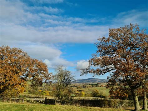 Countryside 的图像结果