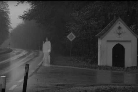 Windräder in den Ebersberger Forst: Auf Kollisionskurs