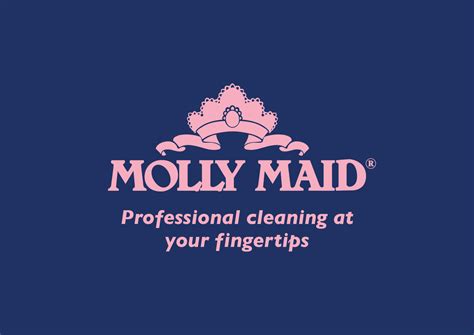 Kitchen & Bathroom Degreaser | Molly Maid Shop
