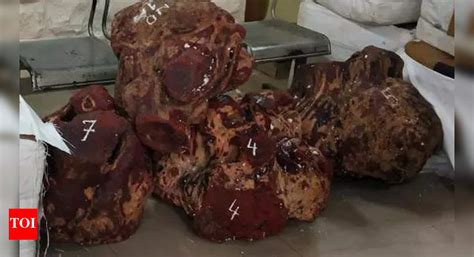 Cops seize 15 tonnes of smuggled red sandalwood at Urse toll plaza, 2 ...