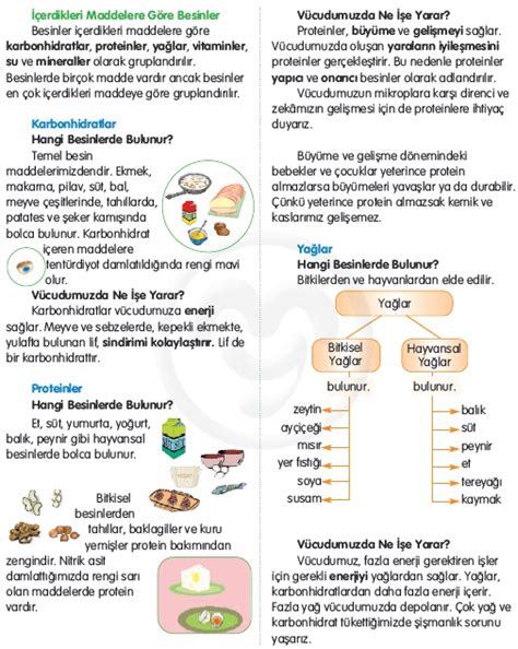 Karbonhidratlar-Yağlar-Proteinler