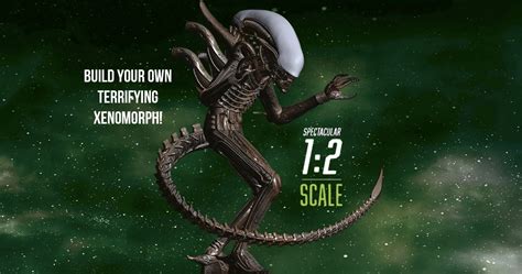 Image result for Alien Xenomorph