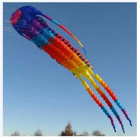 Kids Toys Huge 3D Windsock Large Kite, Trilobite Kite, Squid Kite Big ...