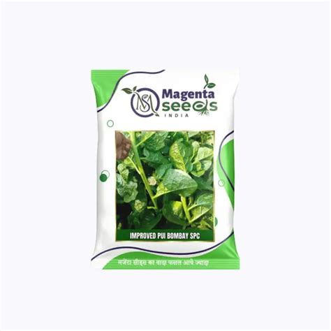 Magenta Seeds Improved Pui Bombay SPC – High Yield Malabar Spinach (Pui ...
