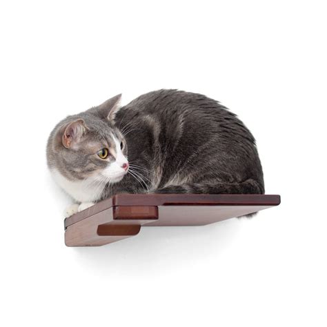 Catastrophic Creations Wooden Cat Step Floating Shelf English Chestnut ...