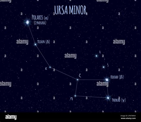 Ursa Minor (Little Bear, Little Dipper) constellation, vector ...
