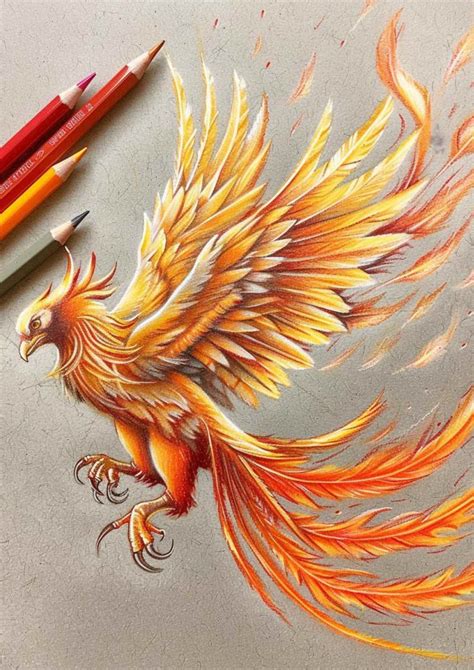 Colorful Drawing 的图像结果